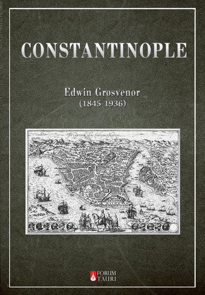 CONSTANTINOPLE by Edwin A. Grosvenor